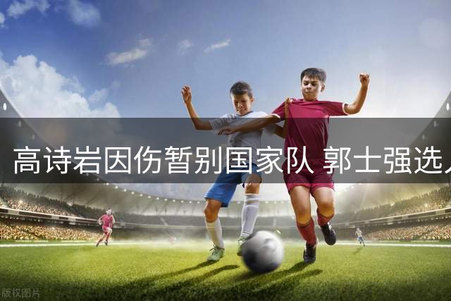 高诗岩因伤暂别国家队 郭士强选人标准引热议